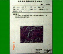 һ - ĵ羺ƽ̨