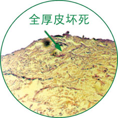 һ - ĵ羺ƽ̨