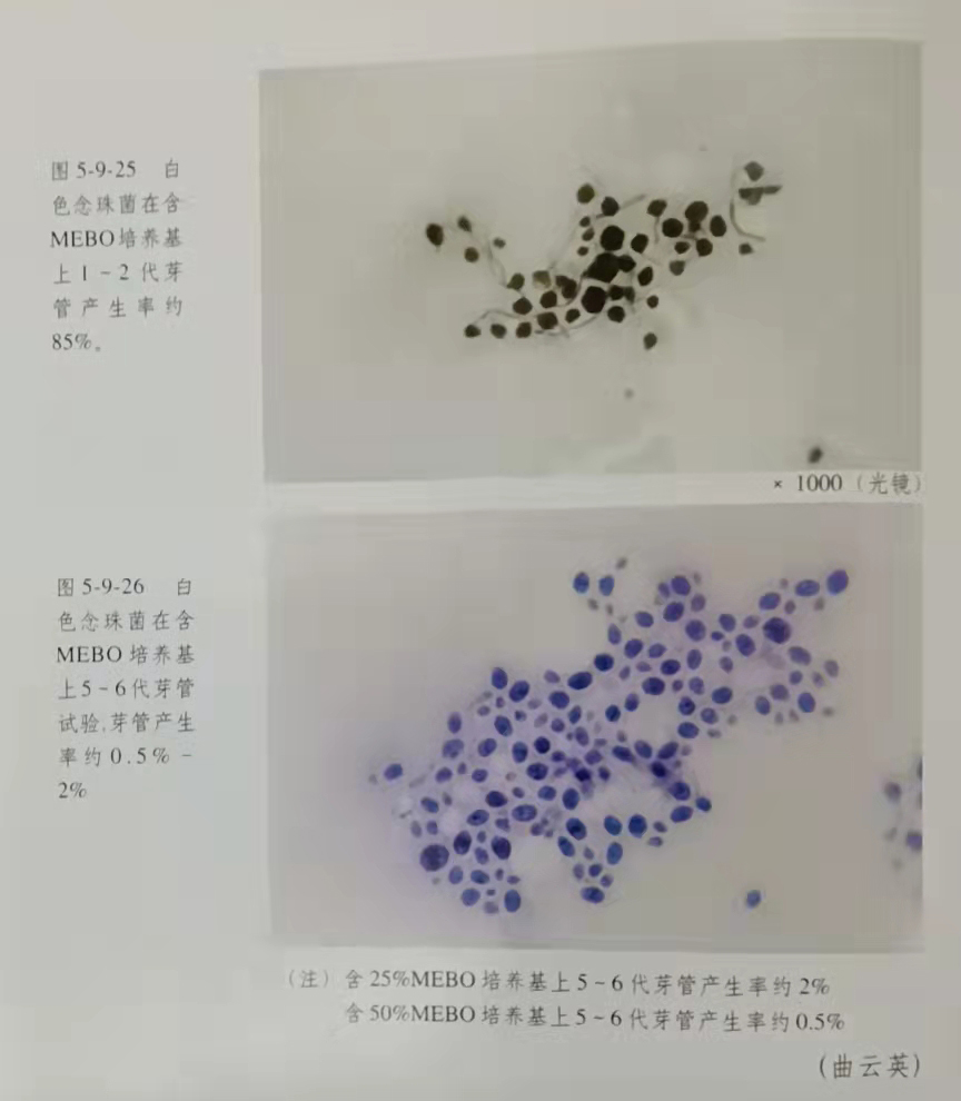 Ò»¾º¼¼ - ÑÇÖÞ×î´óµÄµç¾ºÆ½Ì¨
