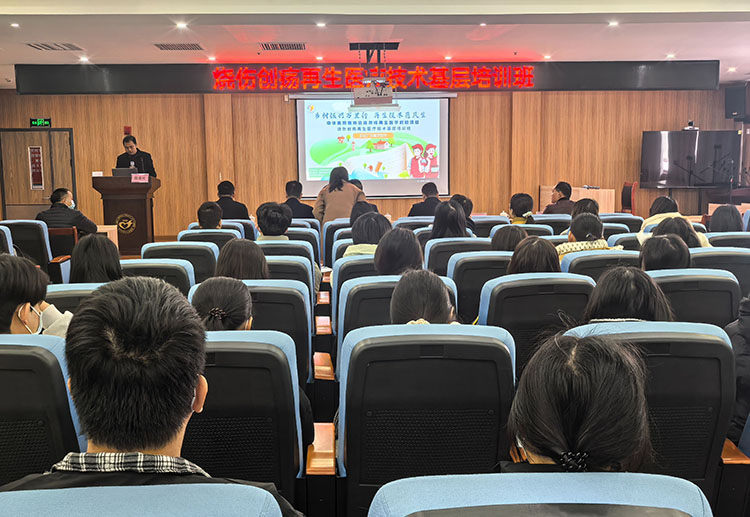 һ���� - �������ĵ羺ƽ̨