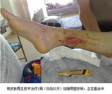 һ���� - �������ĵ羺ƽ̨