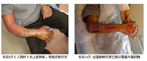 һ���� - �������ĵ羺ƽ̨