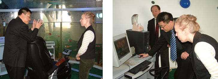 һ���� - �������ĵ羺ƽ̨