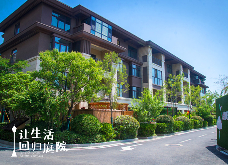 前后张望南阳50年：这样的庭院，，，，，，很难再有了！