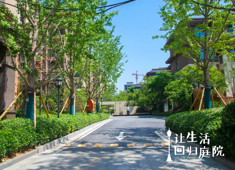 前后张望南阳50年：这样的庭院，，，，，，很难再有了！