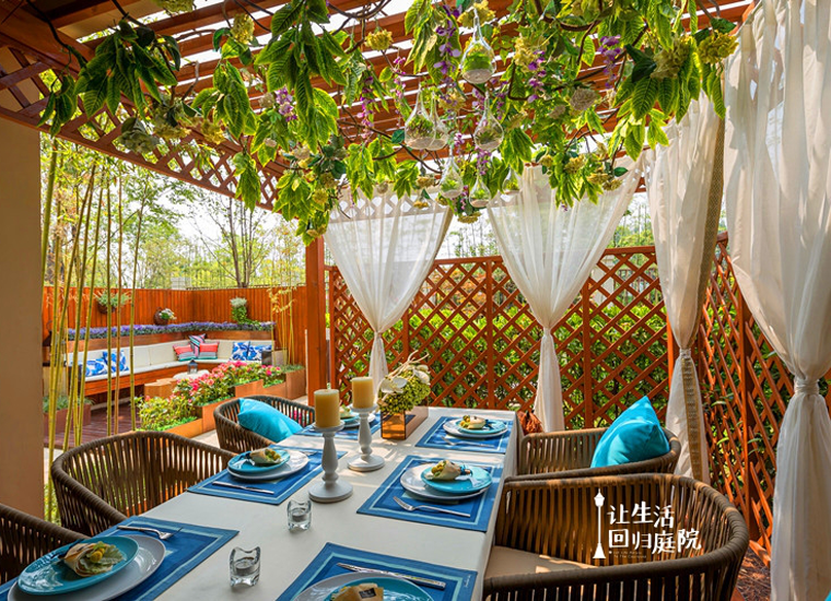 前后张望南阳50年：这样的庭院，，，，，，很难再有了！