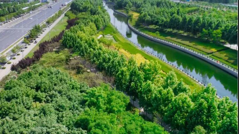 定了！“神兽”线上开学，，，，，，，，家里有学生的必看！