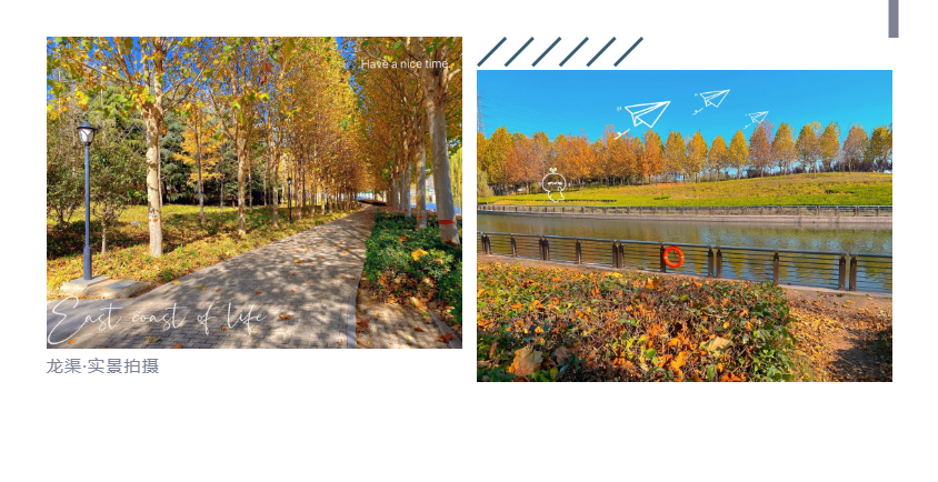 钜惠即止，，，，，，，捡漏经开超人气明星热盘！