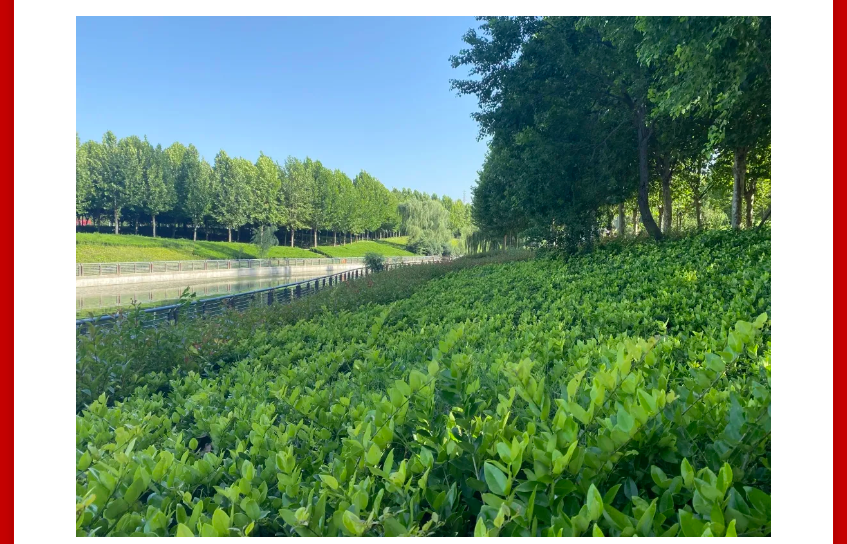 年终薅好房，，，，，，这个明星红盘把“出圈”举行究竟！