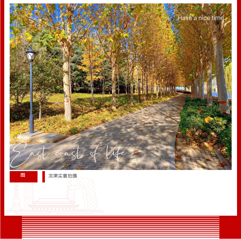 年终薅好房，，，，，，这个明星红盘把“出圈”举行究竟！