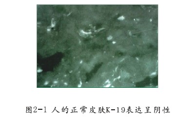 һ - ĵ羺ƽ̨