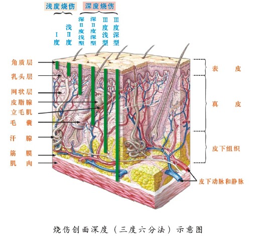 一竞技 - 亚洲最大的电竞平台