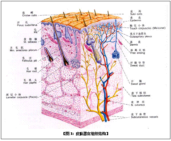 һ - ĵ羺ƽ̨