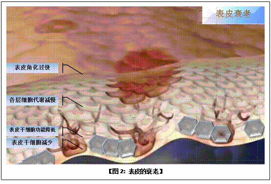 һ - ĵ羺ƽ̨
