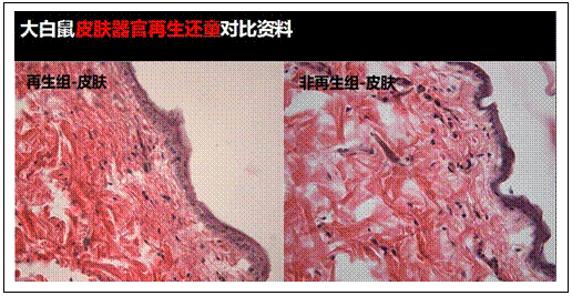 һ - ĵ羺ƽ̨