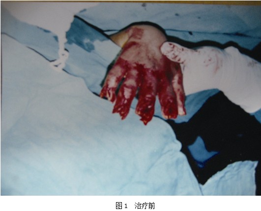 һ - ĵ羺ƽ̨