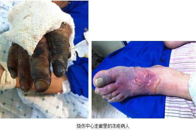 һ���� - �������ĵ羺ƽ̨