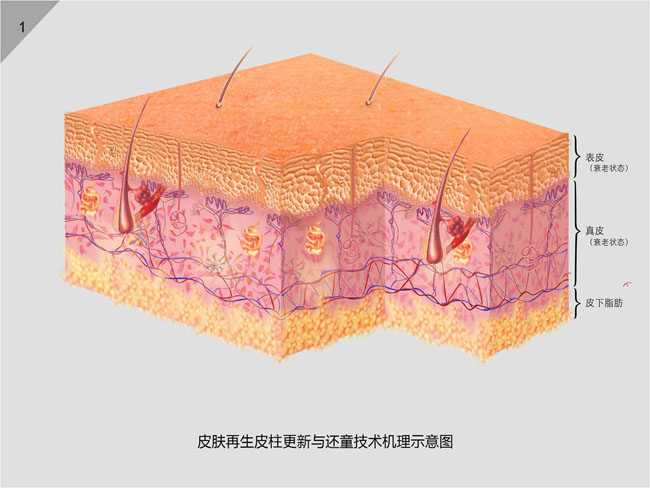һ - ĵ羺ƽ̨