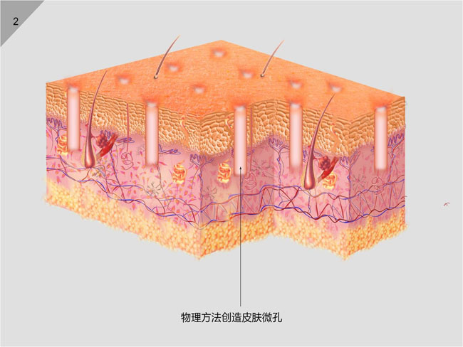 һ - ĵ羺ƽ̨