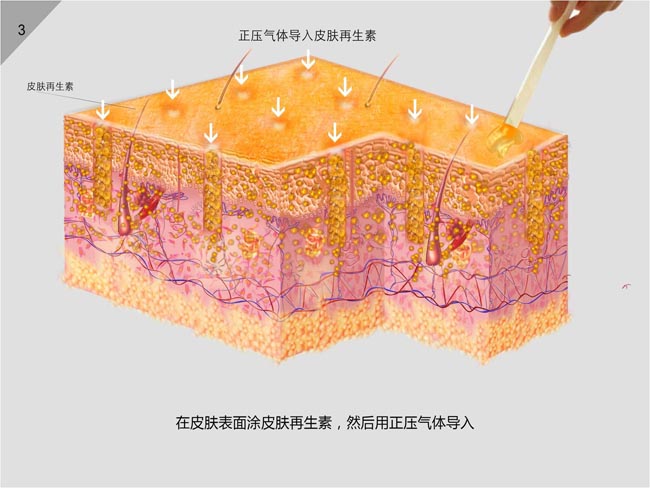 һ - ĵ羺ƽ̨