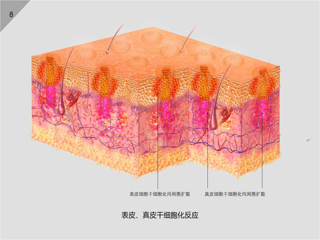 һ - ĵ羺ƽ̨