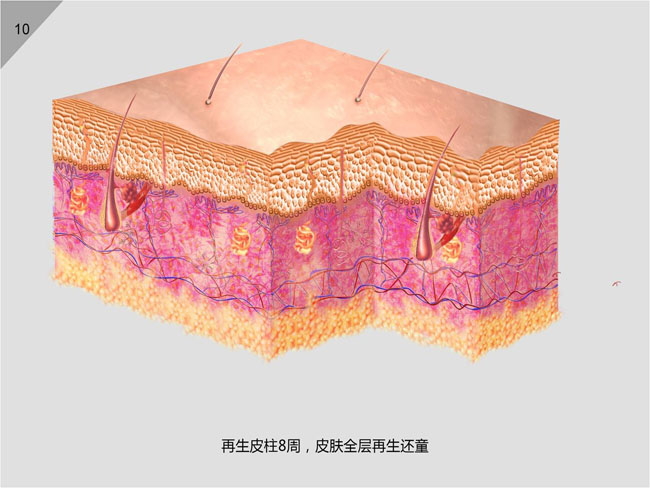 һ - ĵ羺ƽ̨