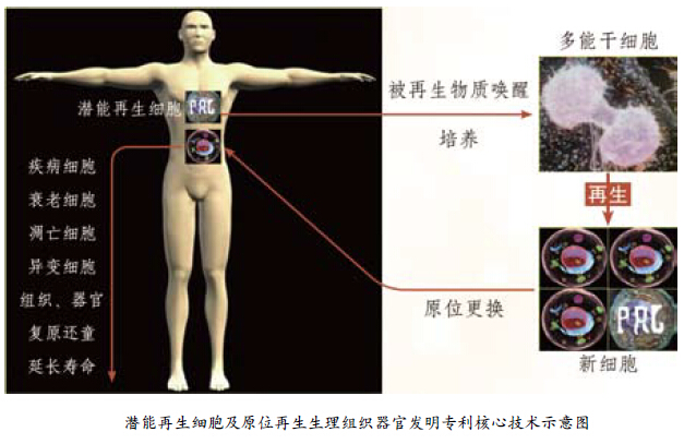 һ - ĵ羺ƽ̨