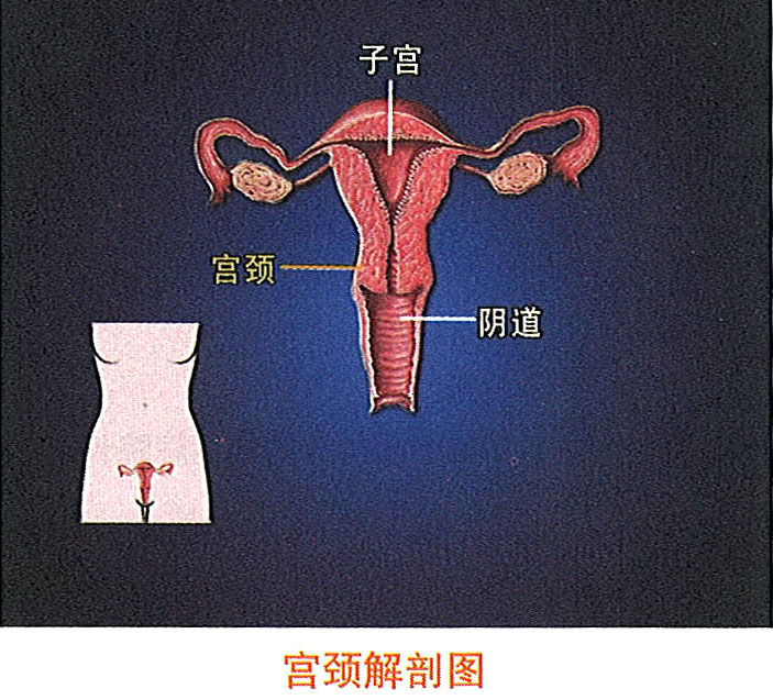 һ - ĵ羺ƽ̨