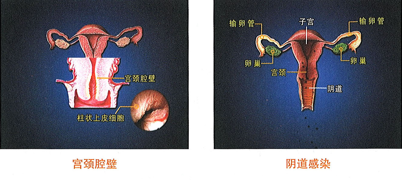 һ - ĵ羺ƽ̨
